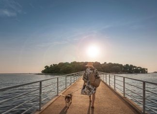 Kamp Koversada Covered