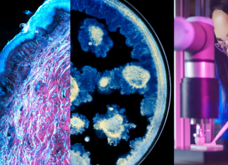 Partnerstvo L’Oréal Grupe i Instituta Pasteur mijenja budućnost znanosti o koži